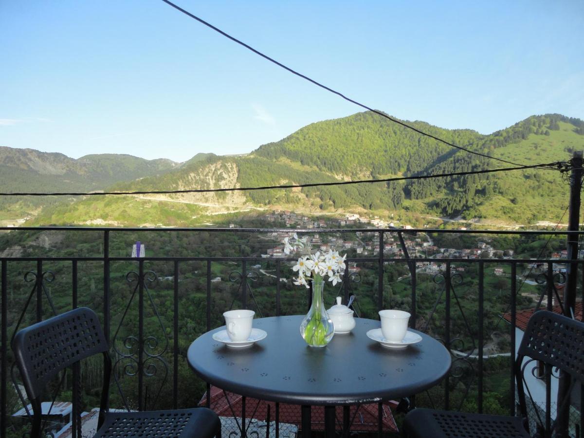 Appartement Baou House 1 à Metsovo Extérieur photo
